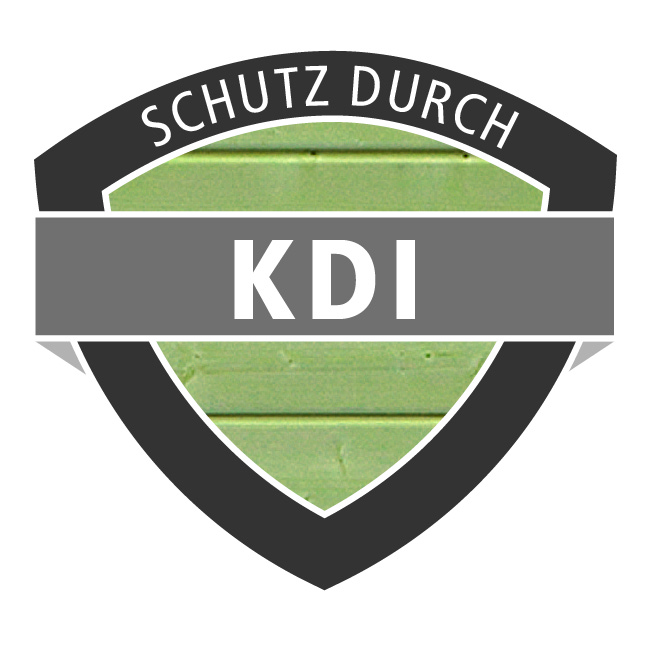 Karibu Rechteck Pool 2